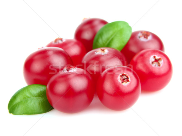 Heap of fresh cranberry  Stock photo © Dionisvera
