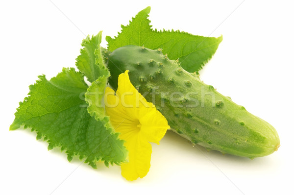 Stock photo: Cucumber with leaves