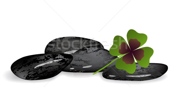Shamrock levél fekete kövek fehér egészség Stock fotó © dip