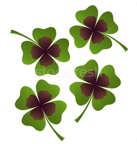 Shamrock лист вектора белый природы зеленый Сток-фото © dip