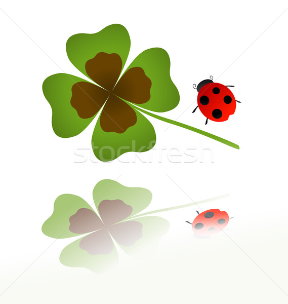 ladybird and shamrock leaf  Stock photo © dip