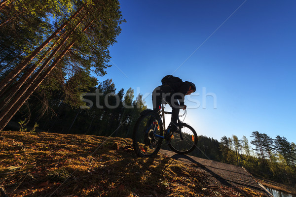 Motoros lovaglás erdő hegyi kerékpár fa természet Stock fotó © Discovod