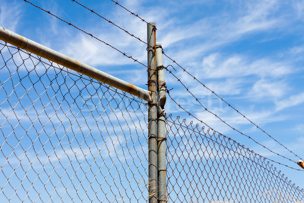 Ogrodzenia drutu kolczastego Błękitne niebo metal bezpieczeństwa Zdjęcia stock © Discovod