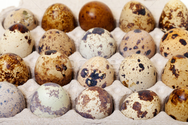 Speckled quail eggs in a carton box Stock photo © Discovod