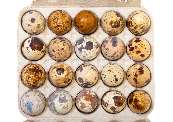 Speckled quail eggs in a carton box Stock photo © Discovod