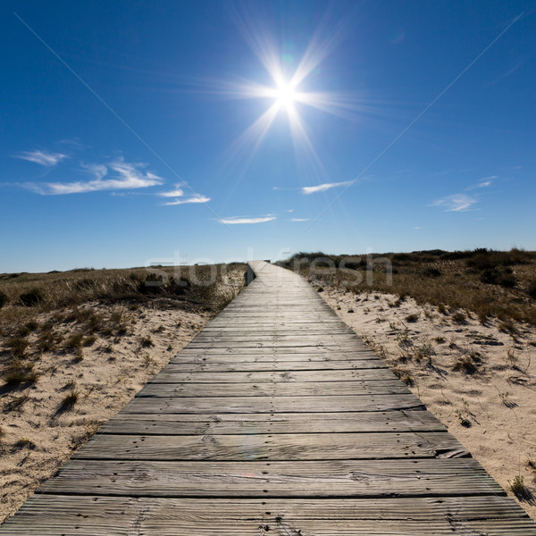 Wooden Walkway Leading to the Beach over Sand Dunes Stock photo © Discovod