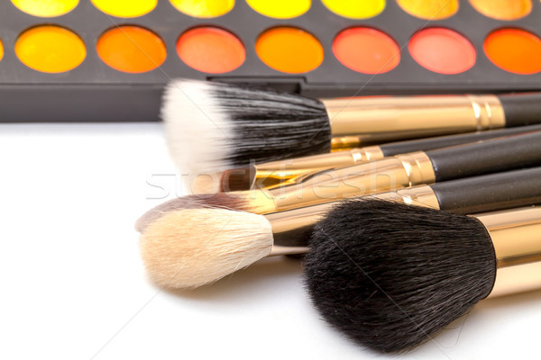 Set of Multicolored Eyeshadows with Brushes Stock photo © Discovod