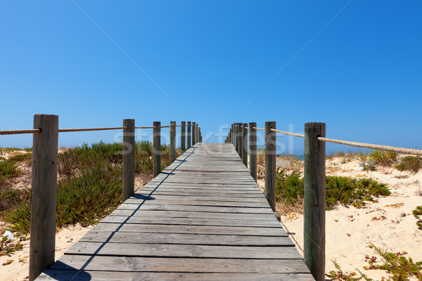 Boardwalk protecting a fragile dune ecosystem Stock photo © Discovod