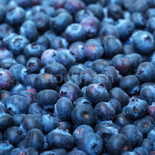 Stock photo: Freshly picked blueberries