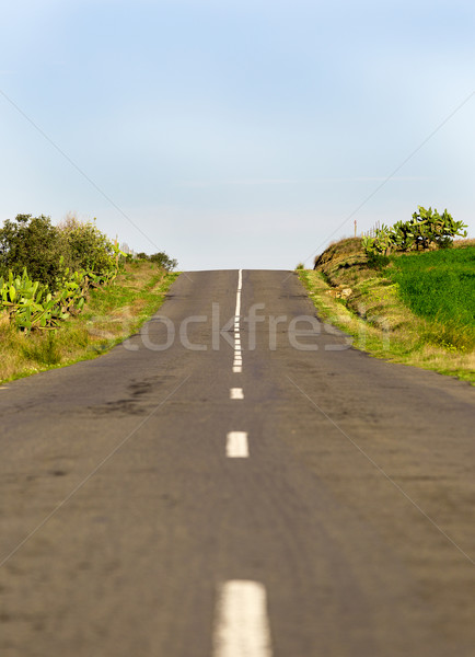 Long Country Road with Markings Stock photo © Discovod