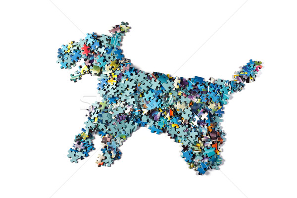 Stock photo: dog made from the puzzle