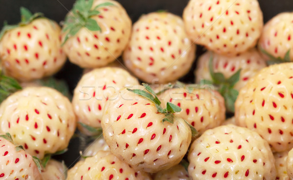 Ripe White strawberries, pineberries Stock photo © Discovod