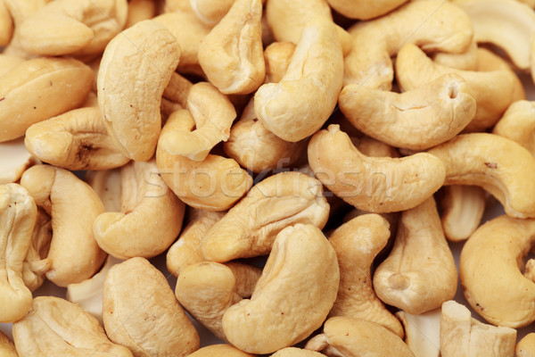 Ripe Cashew Nuts Stock photo © Discovod