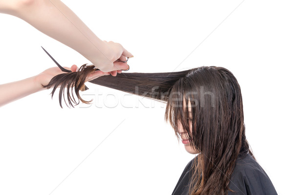 Young woman having a hair cut Stock photo © Discovod