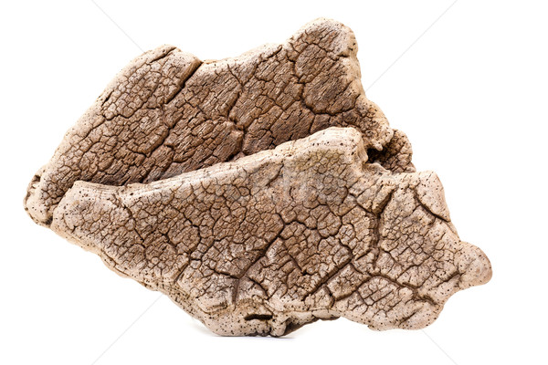Corteza corcho roble secar blanco textura Foto stock © Discovod