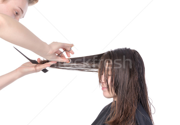 Young woman having a hair cut Stock photo © Discovod