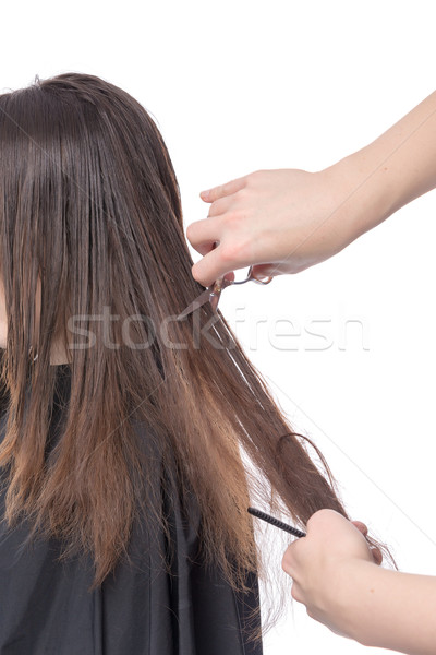 Young woman having a hair cut Stock photo © Discovod