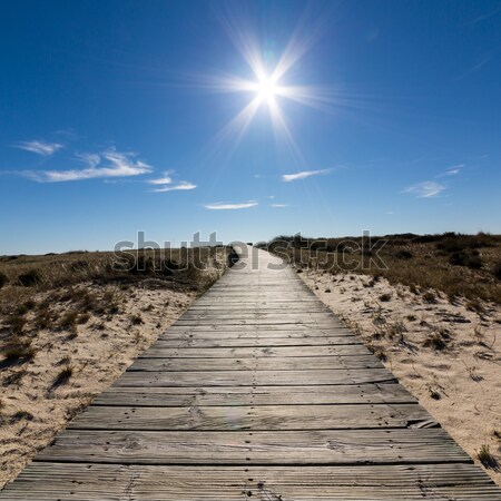 Fából készült vezető tengerparti homok napos idő tengerpart víz Stock fotó © Discovod
