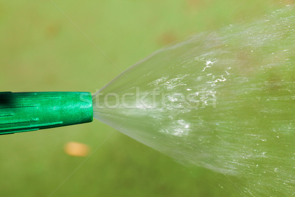 Watering plants and grass by nozzle Stock photo © Discovod