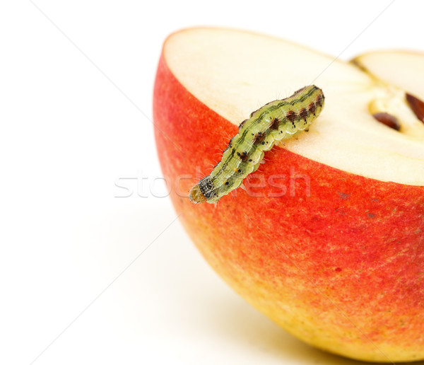 Green Caterpillar Creeps on Red Apple Stock photo © Discovod