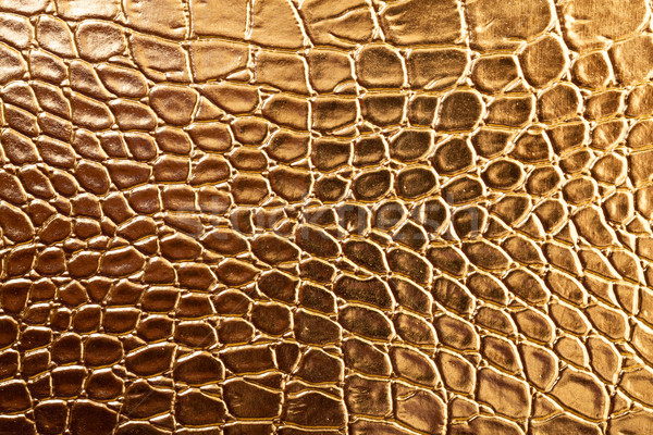 Tint Golden Crocodile Skin Texture Stock photo © Discovod