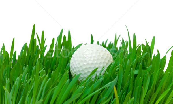 Stockfoto: Witte · golfbal · lang · gras