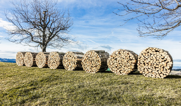 Cut wood circle piles outdoor in mountain countryside - Farmer a Stock photo © DisobeyArt