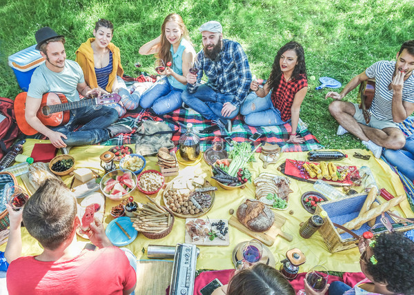 Semi flat view of friends making picnic in nature park sitting o Stock photo © DisobeyArt