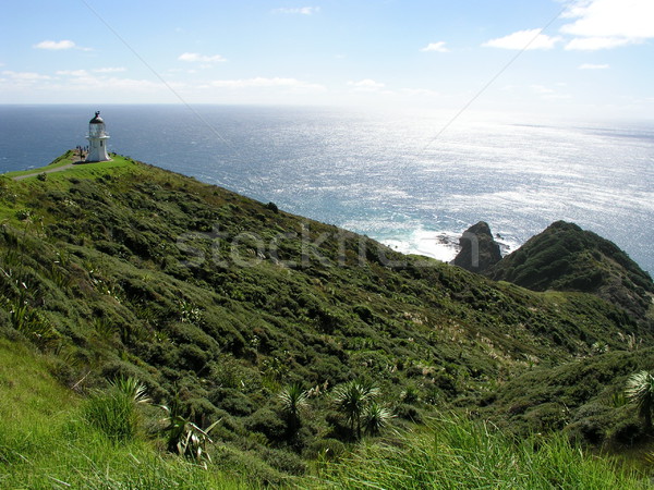 Cape Reinga Lighthouse Stock photo © disorderly