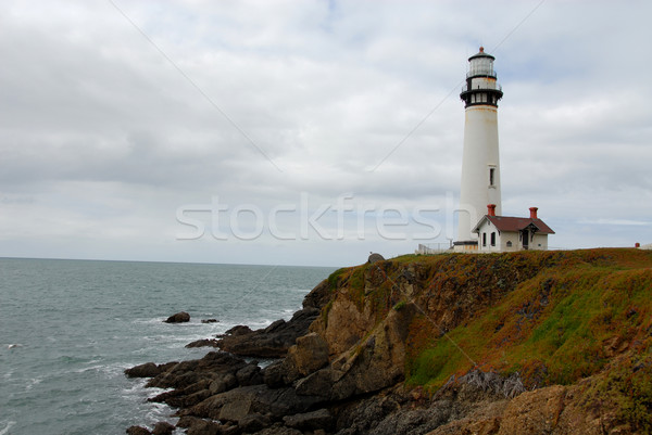 Pigeon Point Lighthouse Stock photo © disorderly