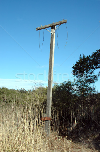 Stockfoto: Utility · paal · gebroken · gesneden