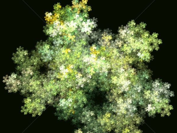 Lit de fleurs ordinateur généré fractal image résumé Photo stock © disorderly