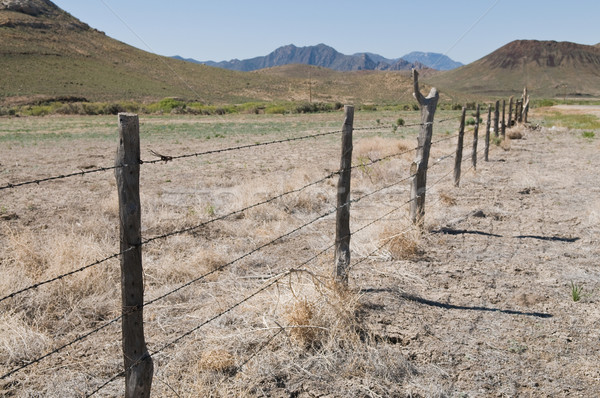 Drutu kolczastego ogrodzenia pustyni porzeczka Nevada Zdjęcia stock © disorderly