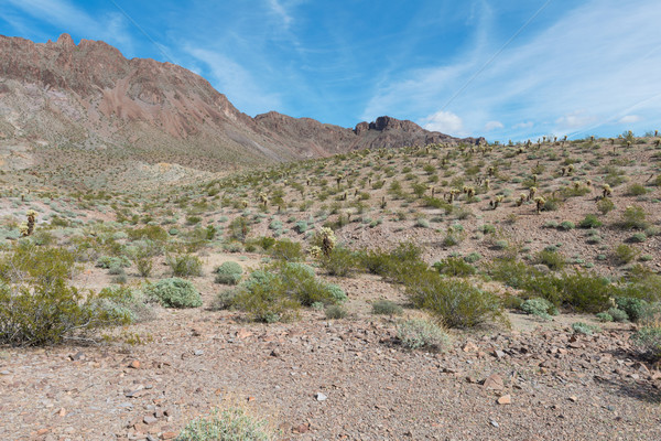 Ruta 66 Arizona desierto edad rocas Foto stock © disorderly