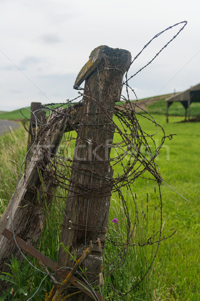 Stock photo: Barbed wire