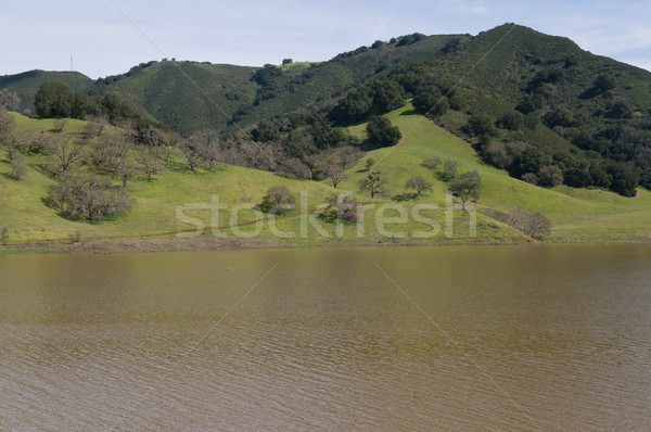 водохранилище холме Калифорния воды лес деревья Сток-фото © disorderly