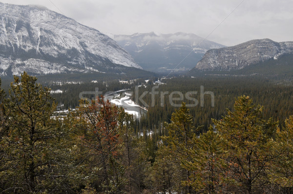 Snow-covered mountains Stock photo © disorderly