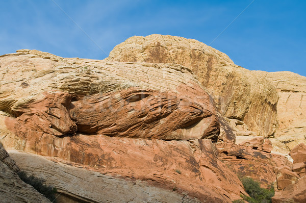 Stockfoto: Rood · rock · canyon · Las · Vegas · Nevada · borstel