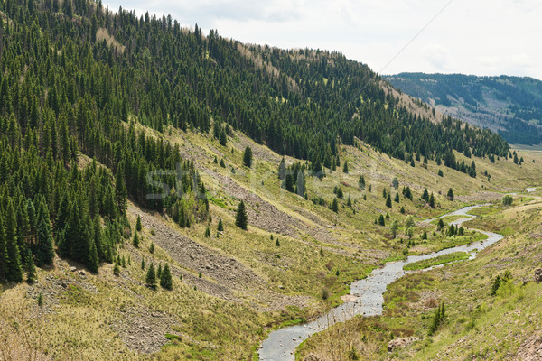 ручей альпийский долины южный Колорадо воды Сток-фото © disorderly