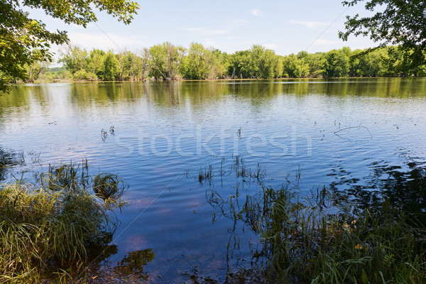 Uita afara râu moară Minnesota Imagine de stoc © disorderly