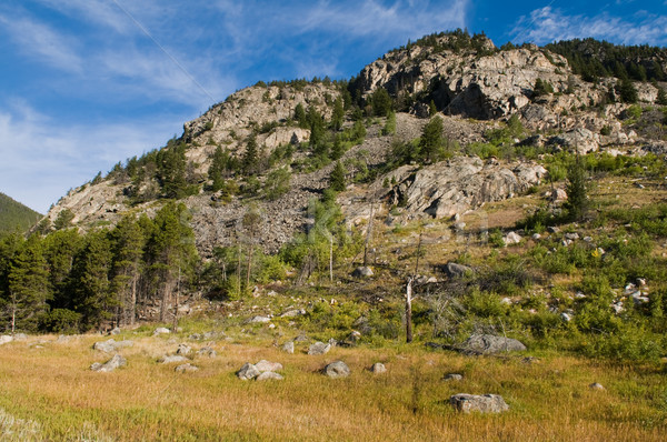 Rocky Mountains Stock photo © disorderly