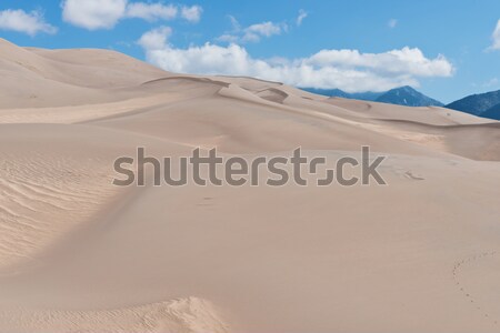 Sand dunes Stock photo © disorderly