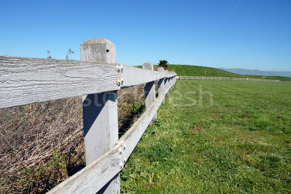 Fence Stock photo © disorderly