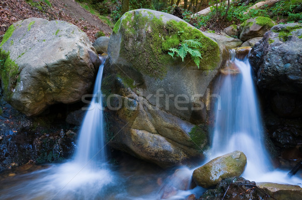 Twin cascate canyon parco Hill California Foto d'archivio © disorderly