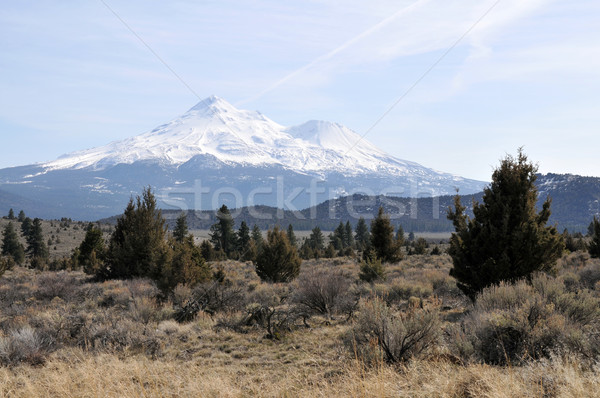 Stock photo: Mt. Shasta