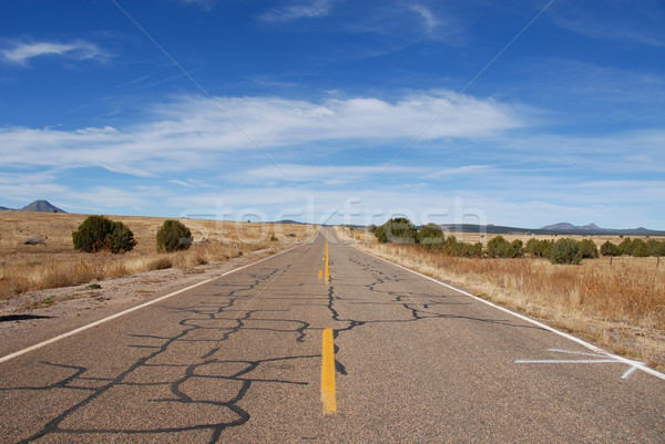 Ruta 66 edad ceniza tenedor Arizona carretera Foto stock © disorderly