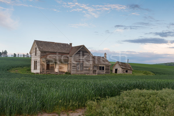 Abandoned house at dusk Stock photo © disorderly