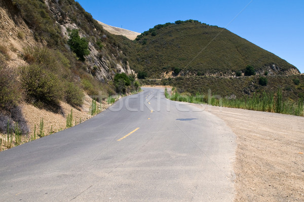 Mt. Diablo road Stock photo © disorderly