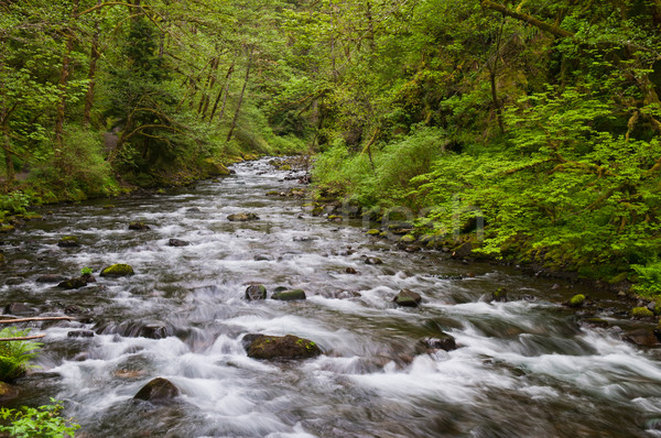 Stream Stock photo © disorderly