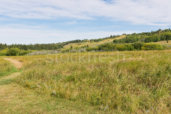 Hills Stock photo © disorderly